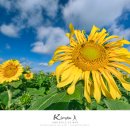 순광농장 이미지