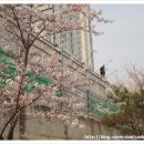 부암1동-8 이미지