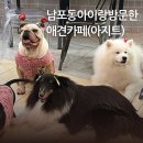 아지트 | 부산 남포동 실내 아이랑 가볼만한 곳 | 애견카페 남포아지트 후기