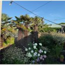 울루와뚜비치하우스 이미지