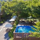 놀멍애견펜션 이미지