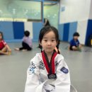국가대표신동태권도장 이미지
