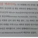 믿음맥과이어 이미지