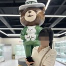 인천강아지분양 테디럽 이미지