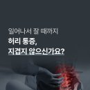 8포인트 | 허리 디스크 통증 완화를 위한 현명한 선택, 8포인트 지압봉 디스크 요추베개
