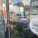 숲속꼬마김밥 이미지