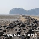 비인중학교 | 충남 서천군 월명산 298m (비인중학교=&gt;정상=&gt;향교=&gt;원점복귀, 서천 선도리갯벌체험장 경유)