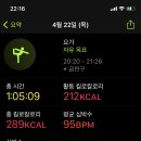 요가(초급) 이미지