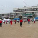 양곡초교 이미지