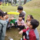 우리무지개 이미지