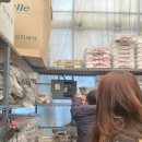 GB하우스 이미지