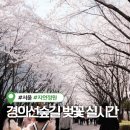 염리공영주차장 | 공덕 경의선숲길 벚꽃 실시간 개화현황 만개 대흥역까지 산책 후기