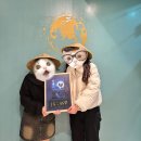 잉카의작은마을 | [방탈출] 지구별 방탈출 대구점 - 만월