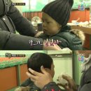 애니멀즈 이미지