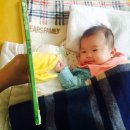 니모밍의 설연휴 이렇게 보내내잉