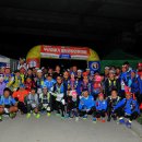 동갈매기 이미지