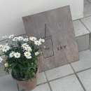 모화원 | 전주카페추천 <전주 모화원> 후기
