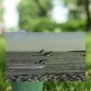 주민이들려주는 영화 이미지