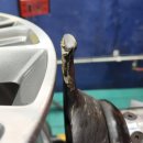 타이어세상 | 세종 한국타이어 벤투스 S2AS H462 225 55R 17 장착 후기