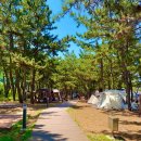 해빛뜰마을 영어조합법인 | 경상북도 울진군 해빛뜰마을, 위치, 주차, 리뷰