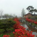 산포홍련마을 이미지