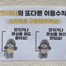애견카페 애견유치원 펫레터 이미지