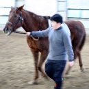 계촌중학교 이미지