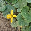 희정이네농장 이미지