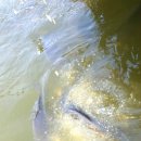 형제낚시터 이미지