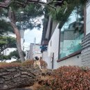 ♣명가코다리찜♣용인명가코다리찜♣용인코다리찜맛집♣용인에버랜드근처맛집 명가코다리찜 방문후기♣