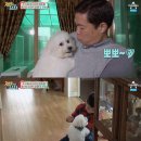 개밥주는 남자 이미지