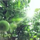 청송흑염소농장 이미지