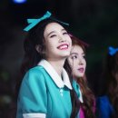 코코들 이미지