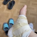 천보경희한의원 | [체코 교환학생🇨🇿] W1/D+1~5: 유목민에서 정착민 되다.