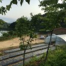 수륜면사무소 이미지