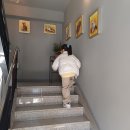 멋진 고양이 | 수원고양이카페 야옹이네 방문 후기