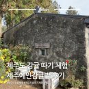 따기네 | 제주도 서귀포 감귤따기 체험 제주에인감귤밭 후기