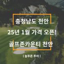 늘푸른 골프존 이미지