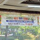 심마니산약초 | 천안오리백숙 맛집 몸보신 제대로 되는 곳 유량동 '심마니오리백숙' 솔직 후기!