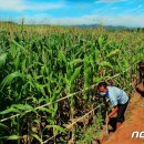 진군농장 이미지