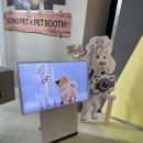 앙팡독 | 소노캄 고양 띵킹독 펫부스(PETBOOTH) 반려동물 강아지 셀프 스튜디오 사진 이용후기