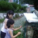 승윤농장 Daum카페
