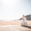 달보레케이크