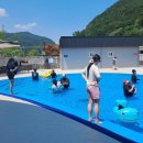 단장면 반려동물지원센터 이미지