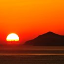 복이 행정사사무소 이미지