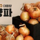 못난이 조선일보