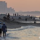 강릉 첫 열대야, 경주 36도, 수도권 폭염주의보… 전국이 ‘찜통’ 이미지