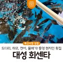대성회센타 - 통영시 북신시장1길 53 | 대성회센타