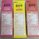 음료 추천] 말랑말랑 포켓몬 키링 13종 증정, 담티 콤부차(레몬, 자몽, 납작복숭아 맛), 내돈내산 후기
