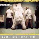 훔훔 이미지
